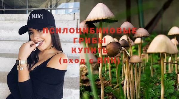 мет Армянск